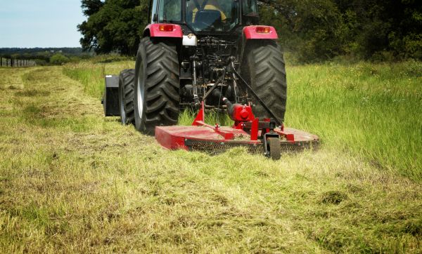 Brush Clearing Service in Sandpoint