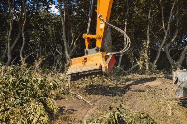 Brush Removal Service in Sandpoint