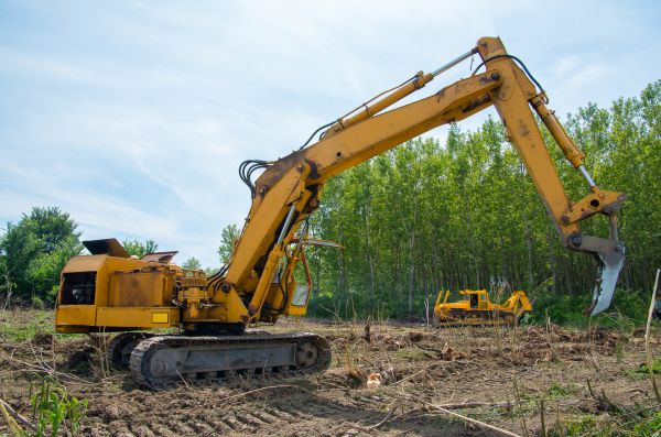 Farm Clearing in Sandpoint