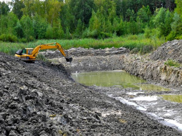 Lake Lot Clearing in Sandpoint