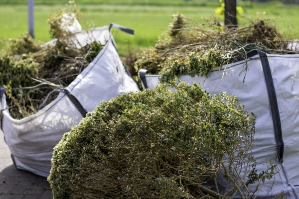 Cost of Bushes Clearing in Sandpoint