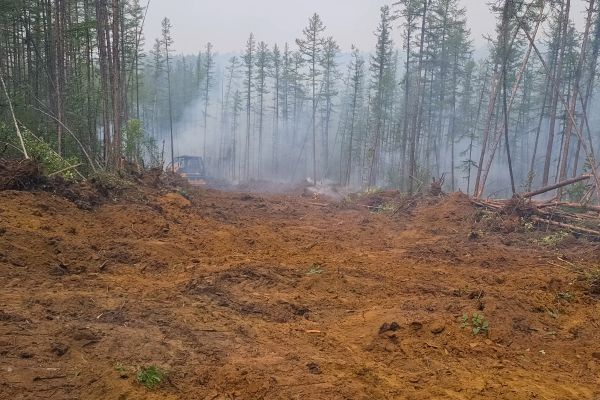 Hill Clearing in Sandpoint