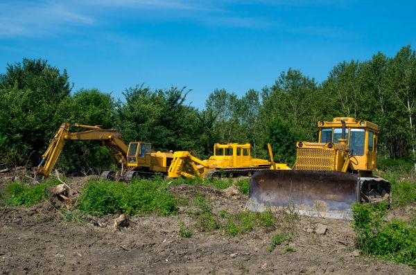 Bulldozer Clearing in Sandpoint