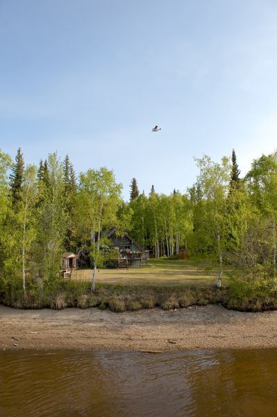 Waterfront Land Clearing in Sandpoint