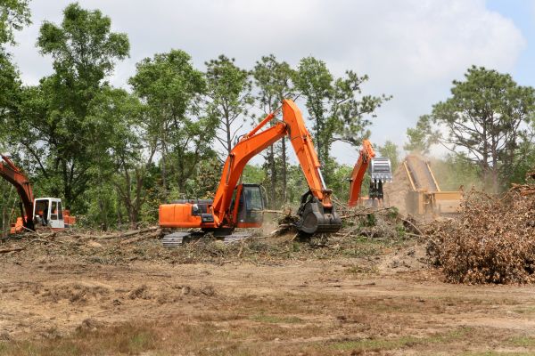 Commercial Lot Clearing in Sandpoint
