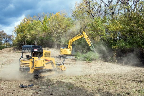 Terrain Clearing in Sandpoint